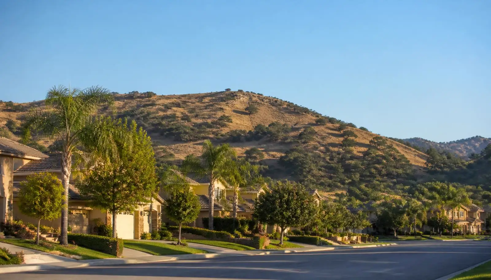 Murrieta, CA residential street with green lawns and palms below a dry oak-covered hill