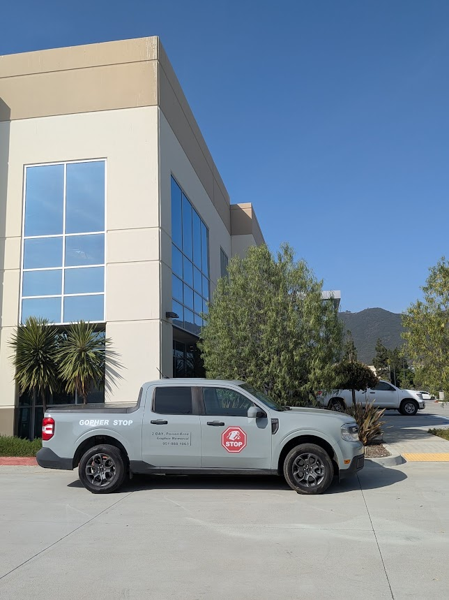 Grey Gopher Stop Ford Maverick service truck parked in front of a modern commercial office building on a sunny day