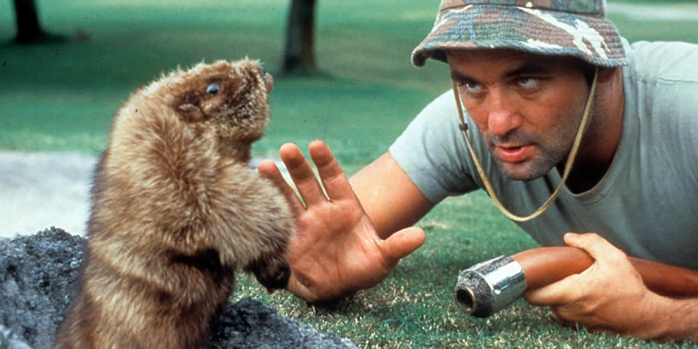 Myth Buster: The 5 Best Ways to NOT Kill Gophers