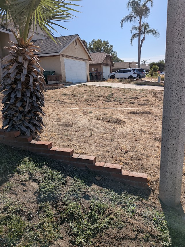 Numerous fresh gopher mounds of dark soil scattered across a dry, brown suburban front lawn in Romoland, CA — the only green lot absorbing a colony from the surrounding vacant ground