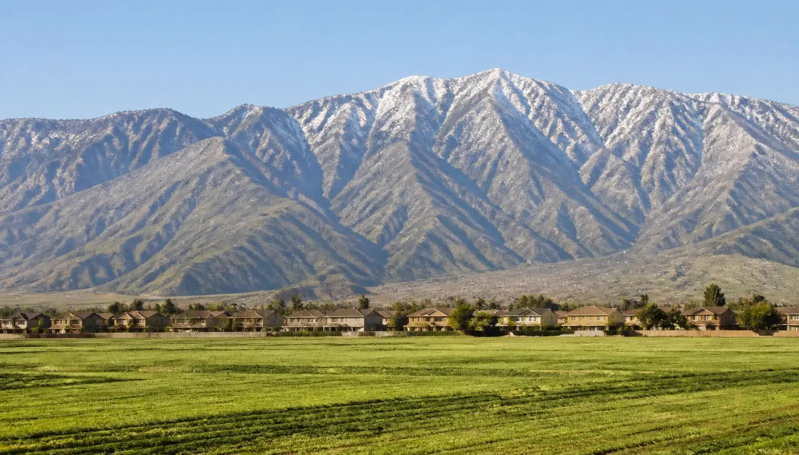 Green hay fields at the edge of San Jacinto, CA homes with the steep snow-topped San Jacinto Mountains behind