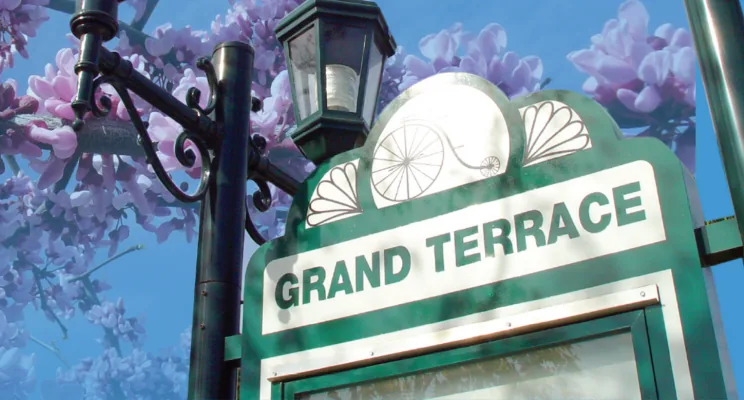 Grand Terrace, CA city sign under blooming purple trees