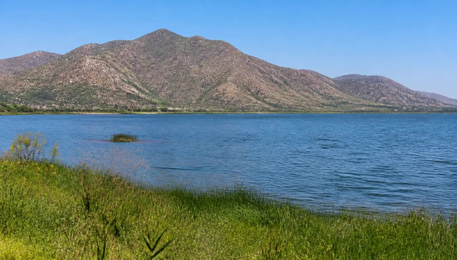Lake Elsinore, CA shoreline grass with the steep brush-covered Ortega range across the water