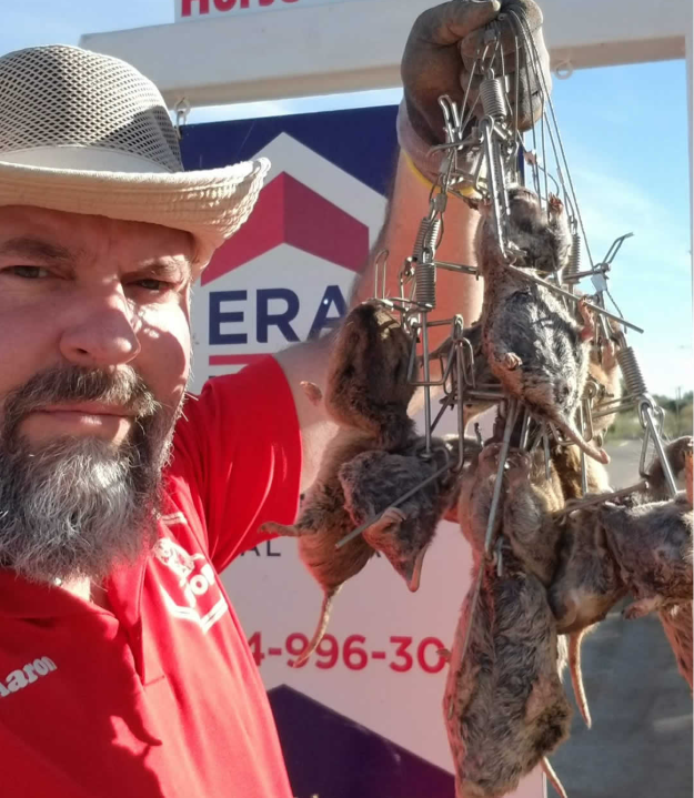 Gophers caught in traps during a successful Gopher Stop job