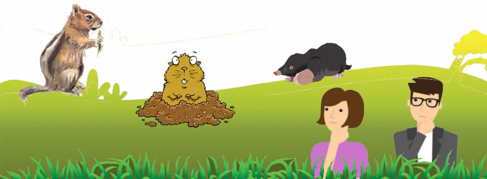 How to Identify Gophers, Moles, and Ground Squirrels