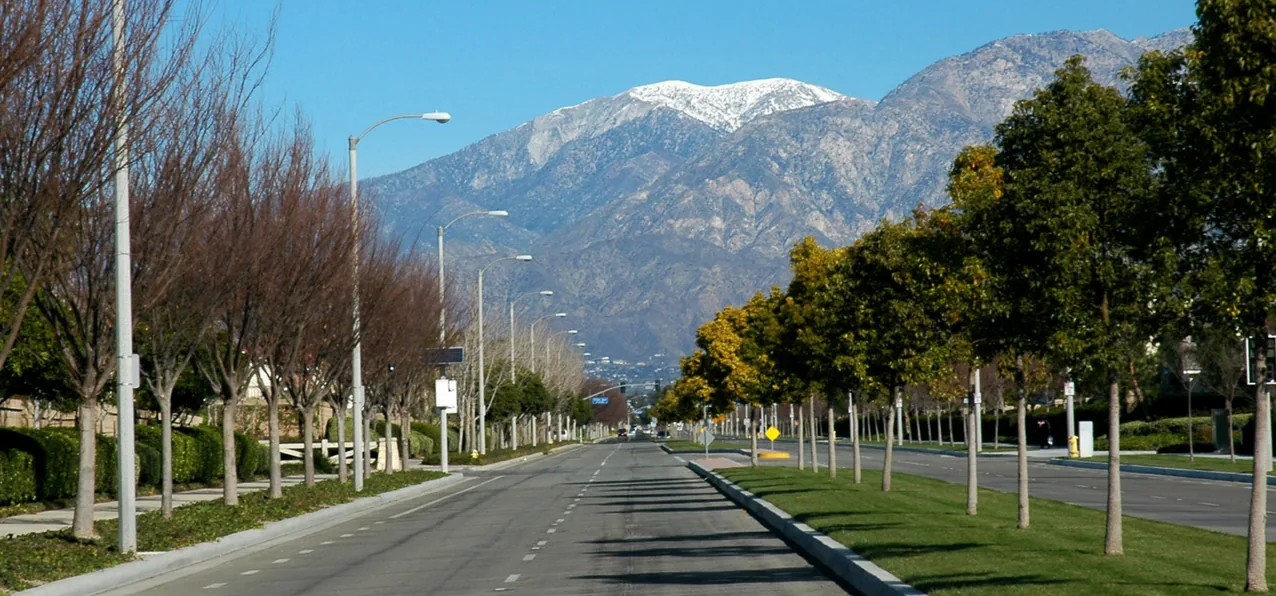 Tree-lined main drive in Chino, CA with snow-capped mountains in the distance