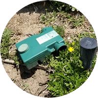 Above Ground Gopher Trap