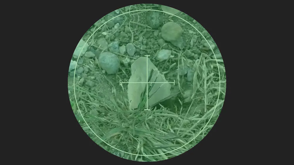 3 Ways to Kill Gophers in Your Yard